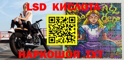 мяу мяу мука Лесосибирск
