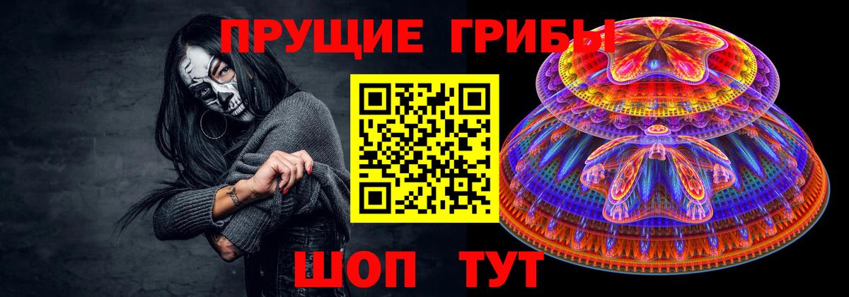 Галлюциногенные грибы GOLDEN TEACHER  Галлюциногенные грибы Magic Shrooms  Вход с VPN  Верхняя Пышма 
