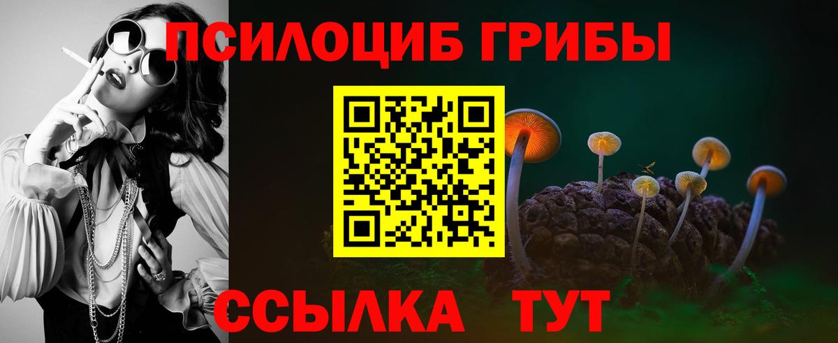 Псилоцибиновые грибы Psilocybe Верхняя Пышма